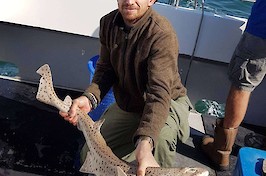 A bull huss caught from the north coast of Wales